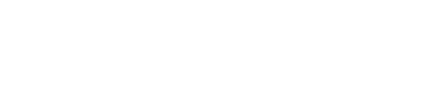 User's voice